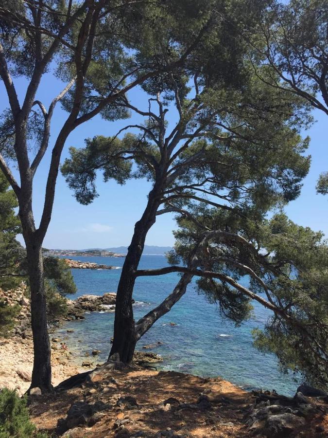 Villa Cocody Bandol Luaran gambar