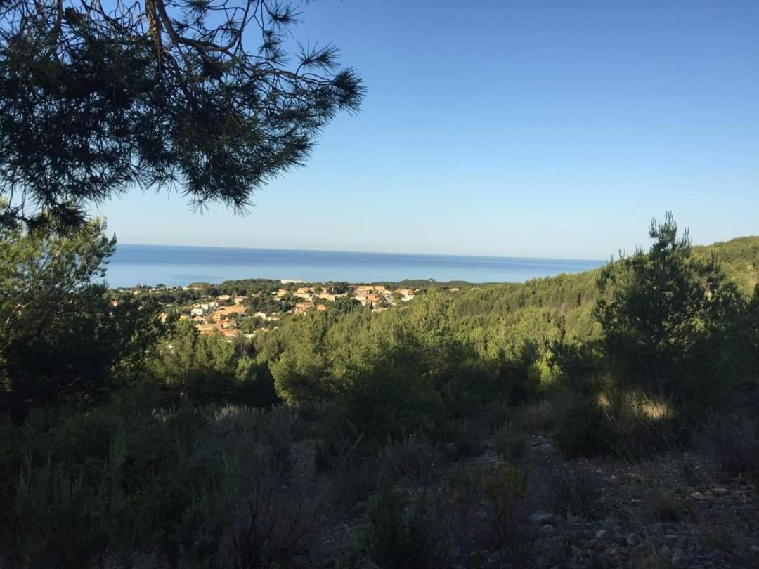 Villa Cocody Bandol Luaran gambar