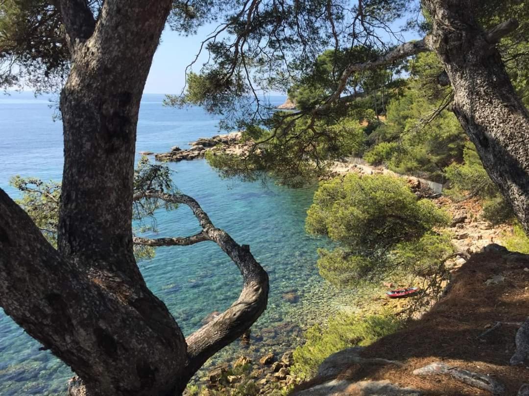 Villa Cocody Bandol Luaran gambar